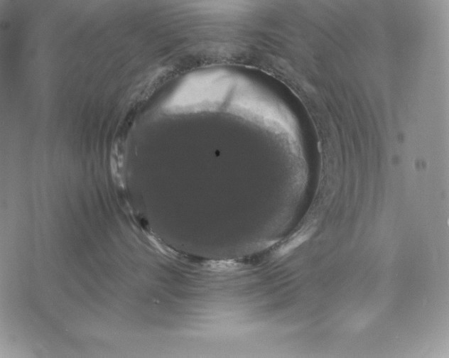 X0000071780528200607282241