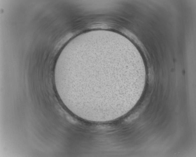 X0000071780529200607282240