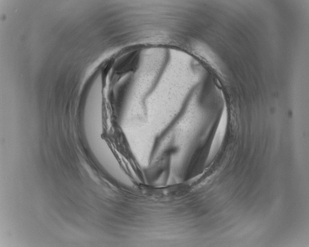 X0000071780532200607282240