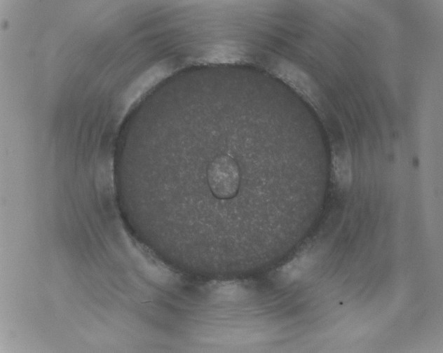 X0000071780534200607282240