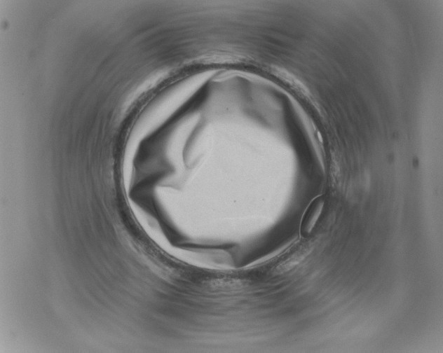 X0000071780535200607282240