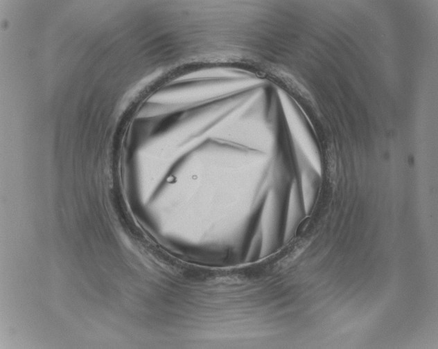 X0000071780536200607282240