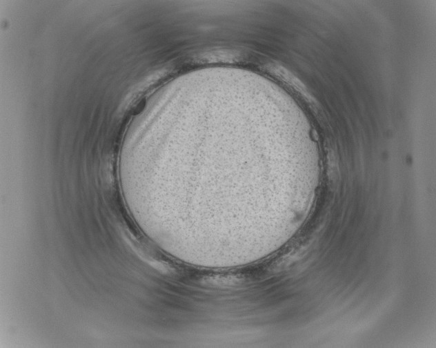 X0000071780537200607282240