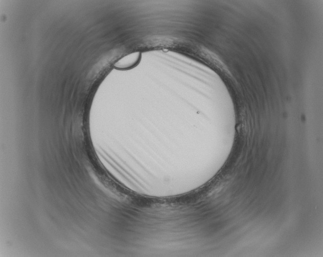 X0000071780538200607282240