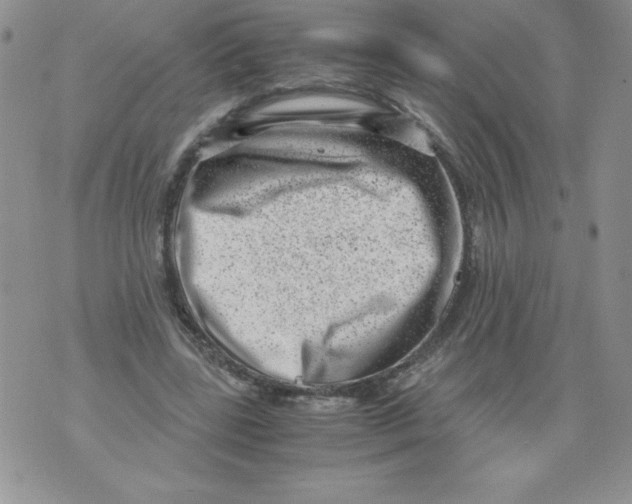 X0000071780539200607282240