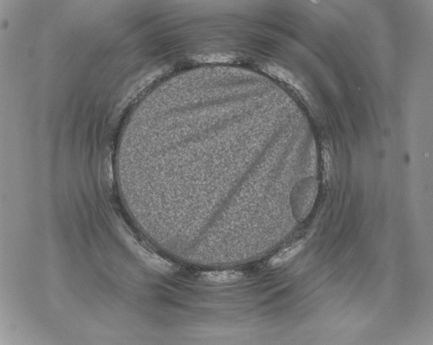 X0000071780541200607282240