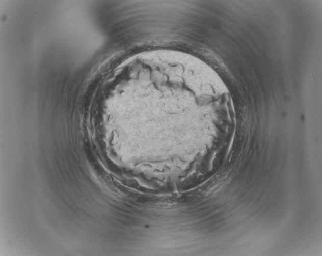 X0000071780542200607282240