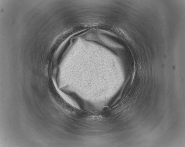 X0000071780543200607282240