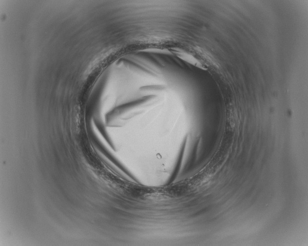 X0000071780544200607282240