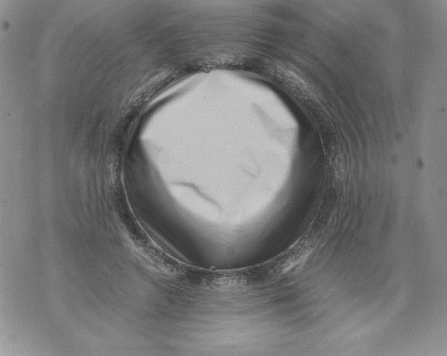 X0000071780546200607282240