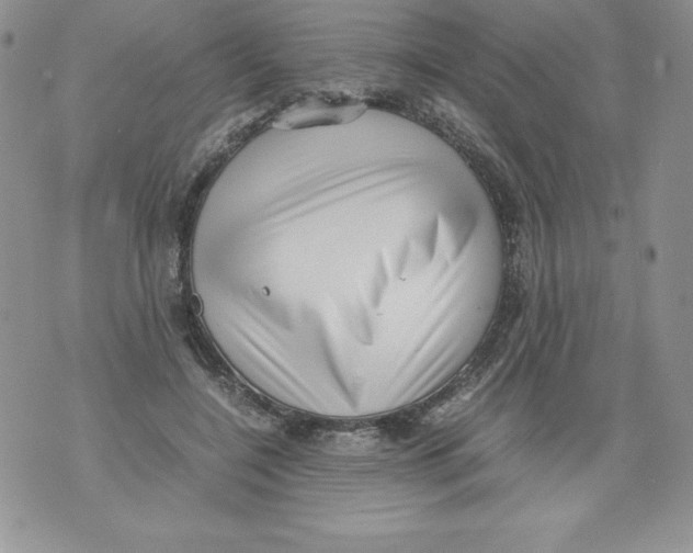 X0000071780548200607282240