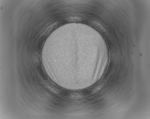 X0000071780549200607282240