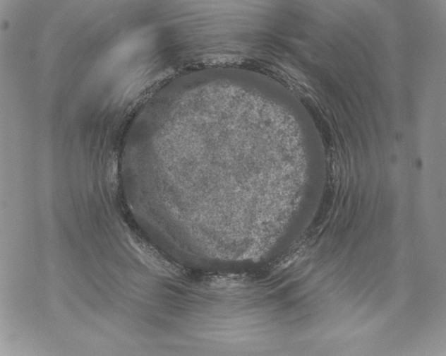 X0000071780550200607282240