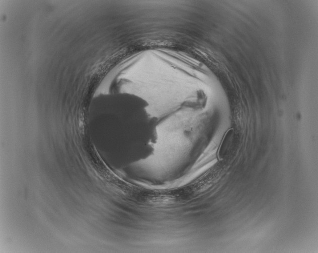 X0000071780551200607282240