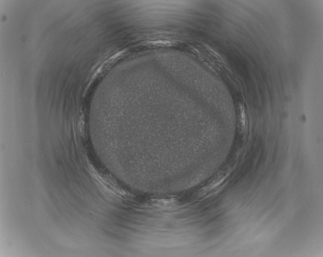 X0000071780552200607282241