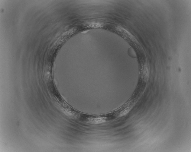 X0000071780553200607282241