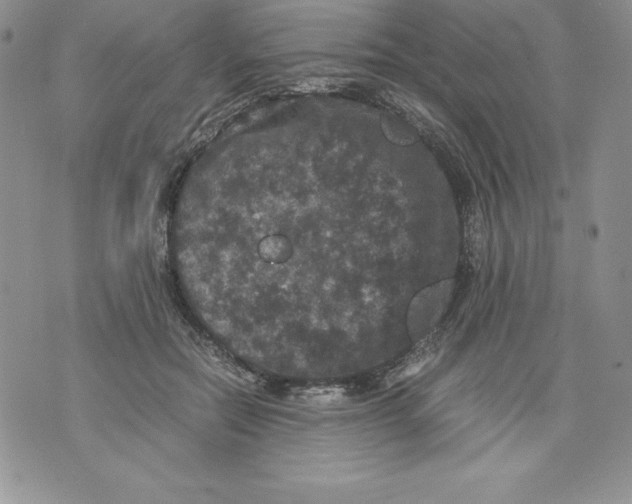 X0000071780554200607282241