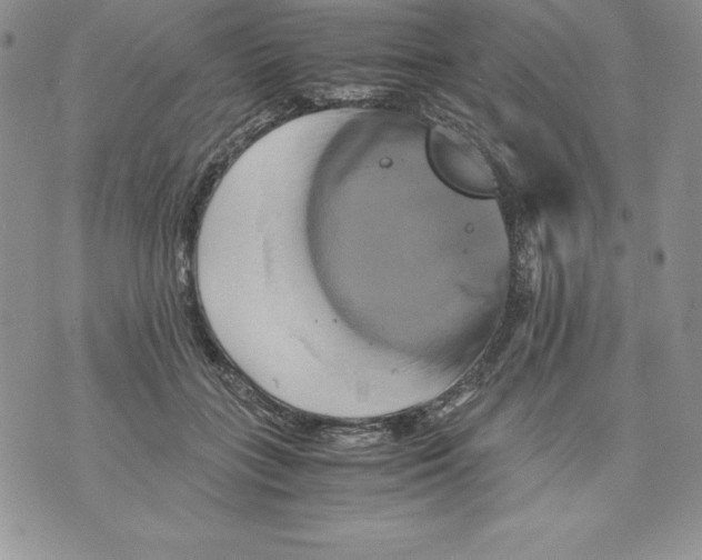 X0000071780555200607282241