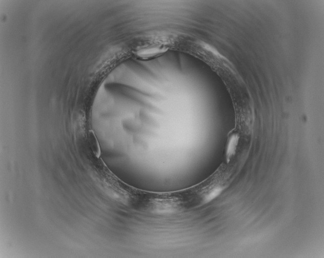 X0000071780556200607282241