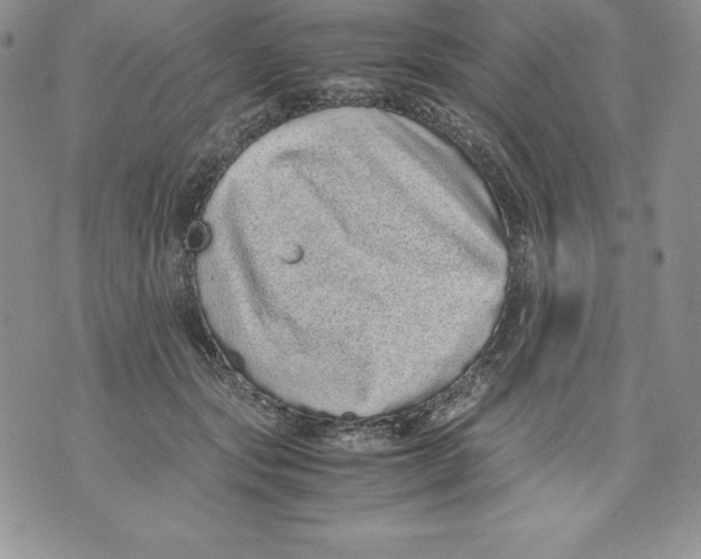 X0000071780557200607282241