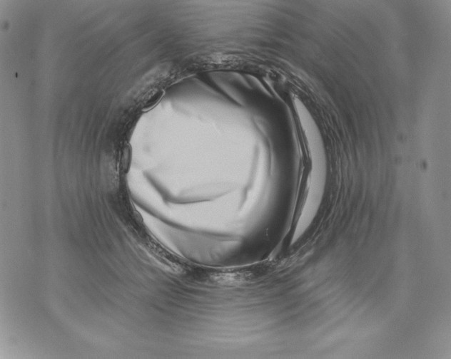 X0000071780558200607282241