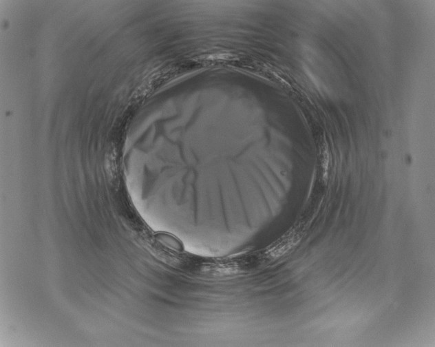 X0000071780559200607282241