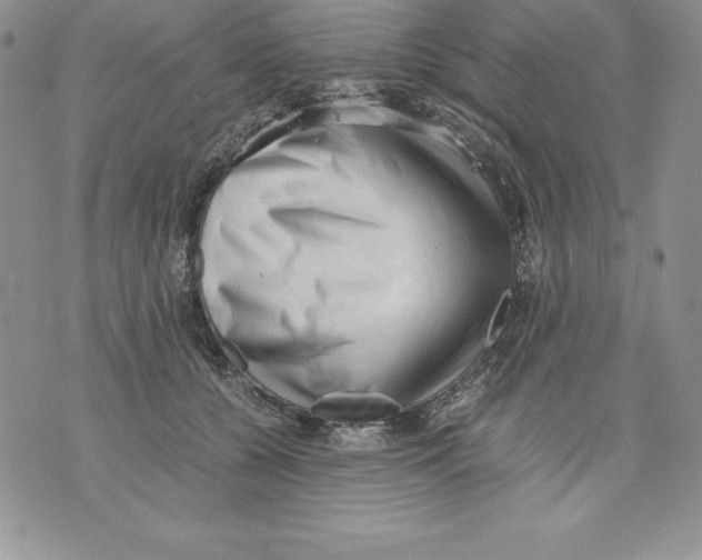 X0000071780560200607282241