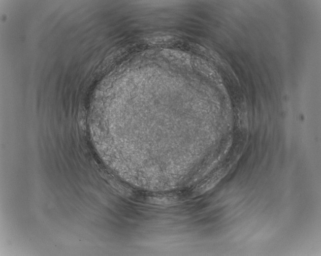 X0000071780561200607282241