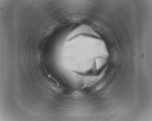 X0000071780562200607282241