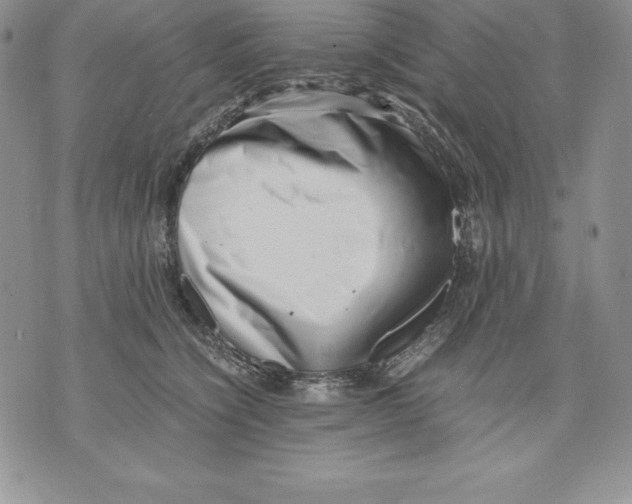 X0000071780564200607282241