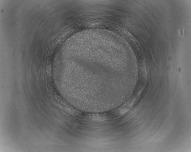 X0000071780565200607282241