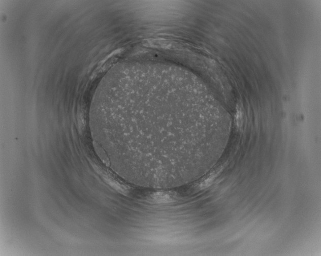 X0000071780566200607282241