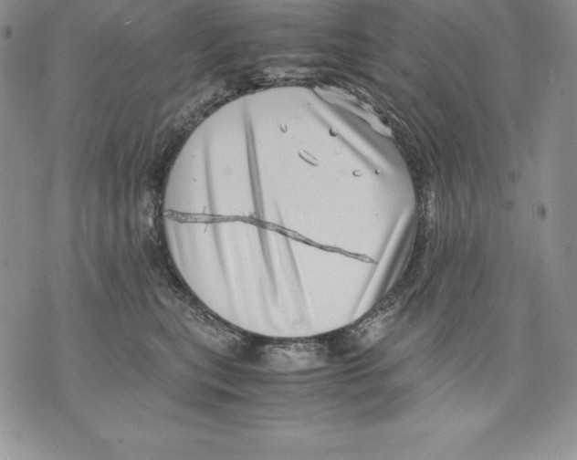 X0000071780567200607282241