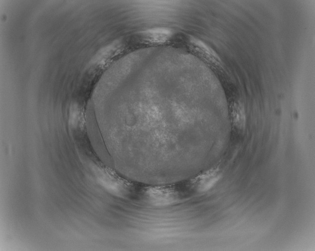 X0000071780568200607282241