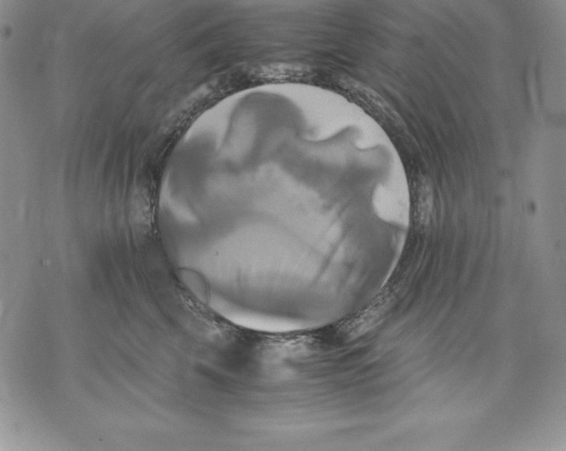 X0000071780569200607282241