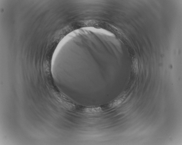 X0000071780571200607282241