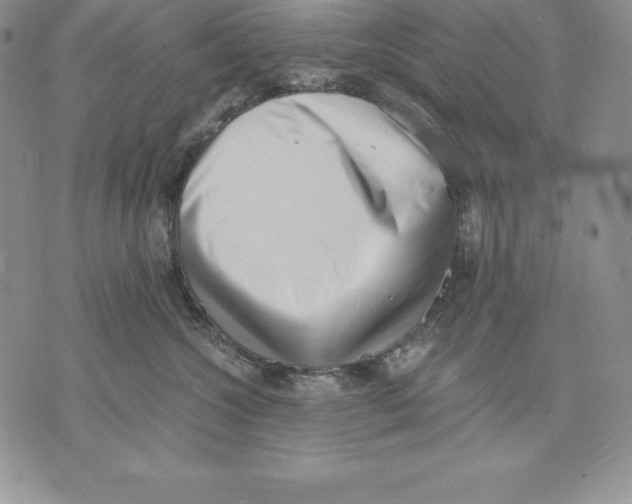 X0000071780572200607282241