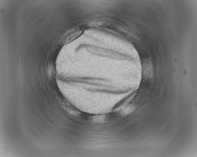 X0000071780574200607282241