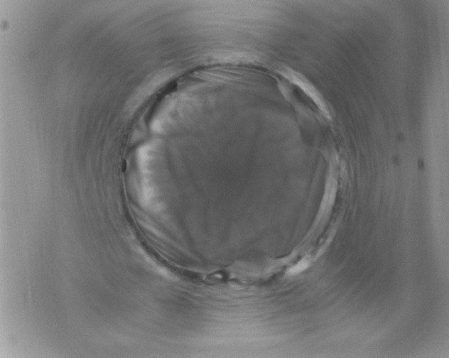 X0000071780577200607282240