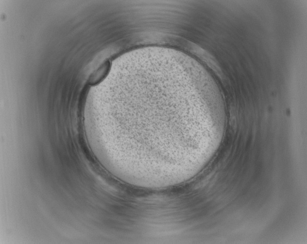 X0000071780578200607282240