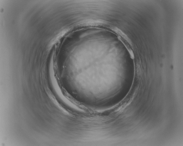 X0000071780581200607282240