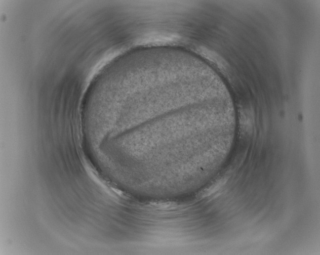 X0000071780582200607282240