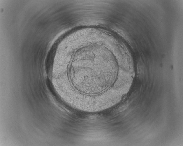 X0000071780584200607282240