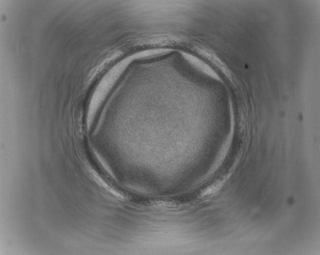 X0000071780585200607282240