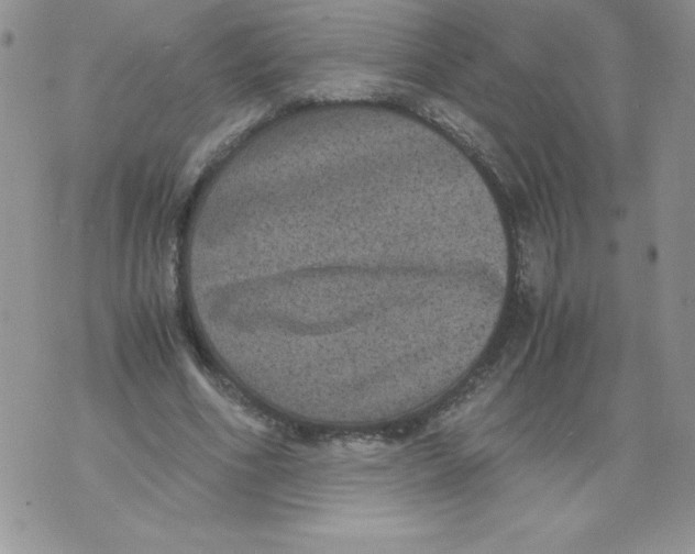 X0000071780586200607282240