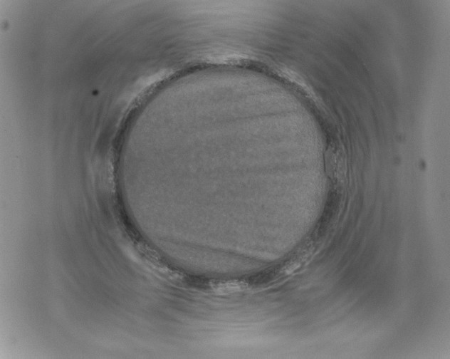 X0000071780587200607282240