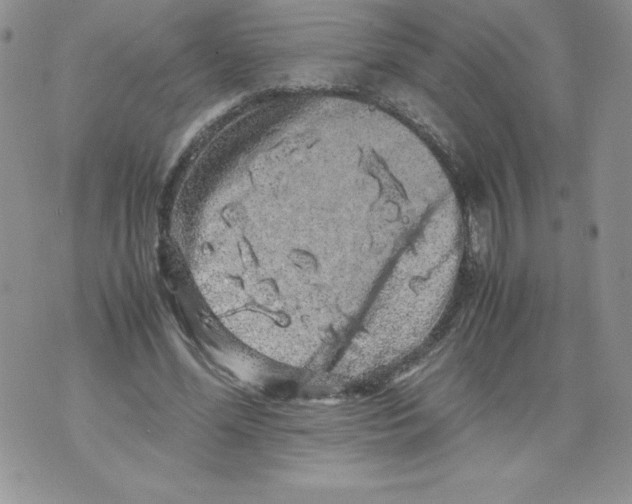 X0000071780588200607282240