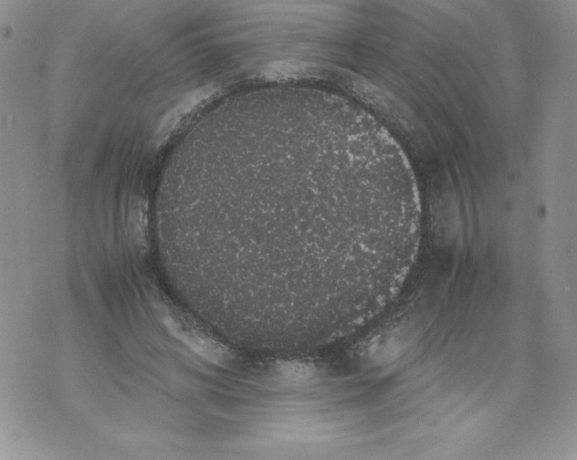 X0000071780592200607282240