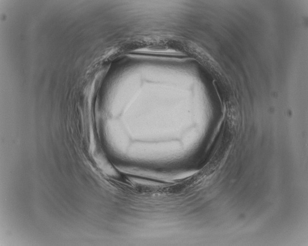 X0000071780593200607282240