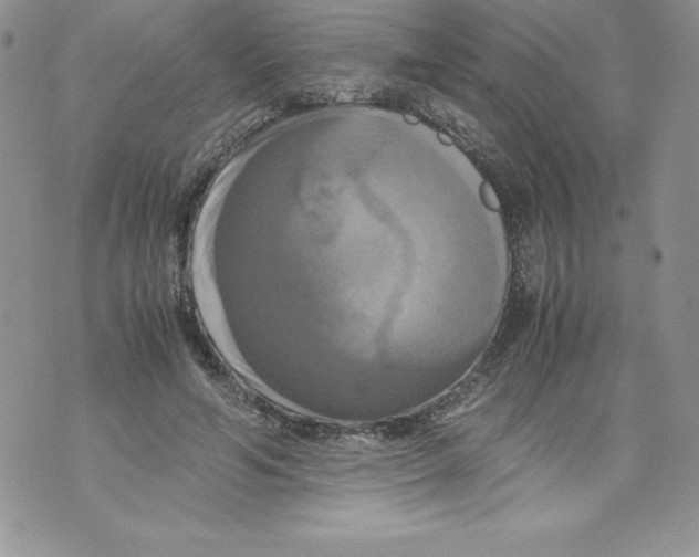 X0000071780594200607282240